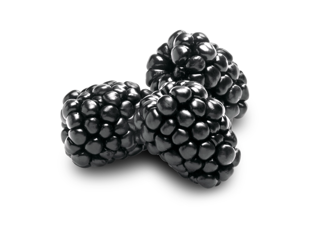 blackberries