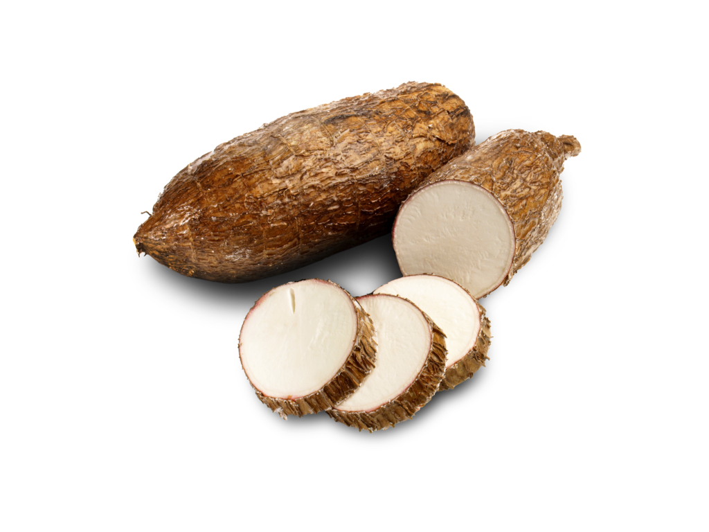 yuca
