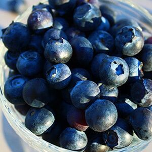 I mirtilli sono un vero superfood!
