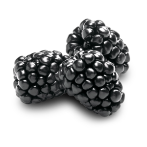 blackberries