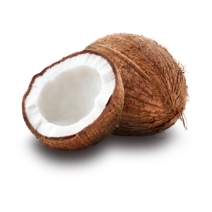 coconut