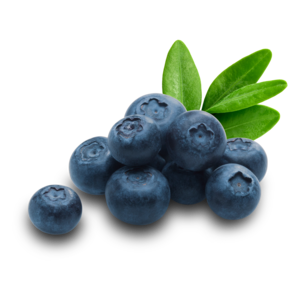 blueberries