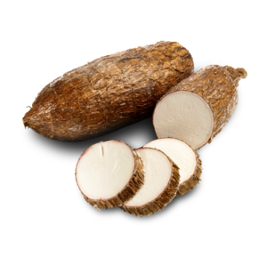 yuca