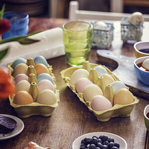 Easter Eggs in cartons