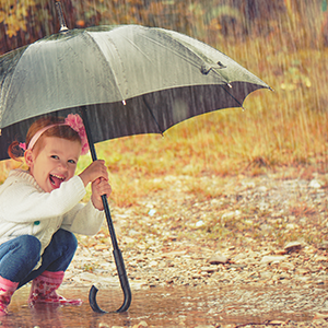 Beitragsbild_Herbst