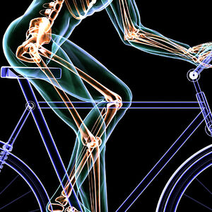 Bikers-Bones-2