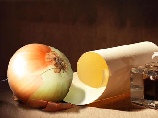 1B_DNN_ode-to-onions-1338x460