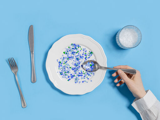 White plate with blue plastics on it