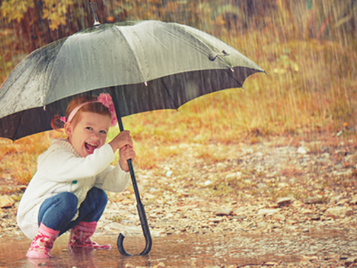 Beitragsbild_Herbst