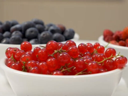 berries-video-lila