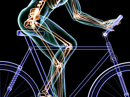 Bikers-Bones-2