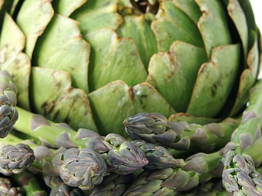 DNN-Welcome-spring-vegetables