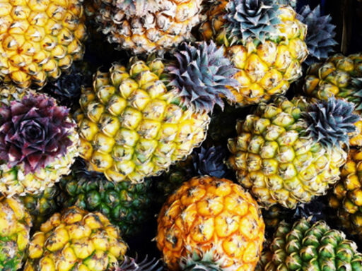 pineapple_blog
