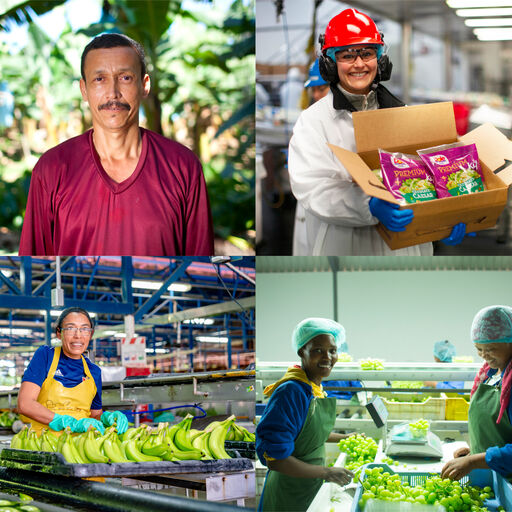 Dole employees